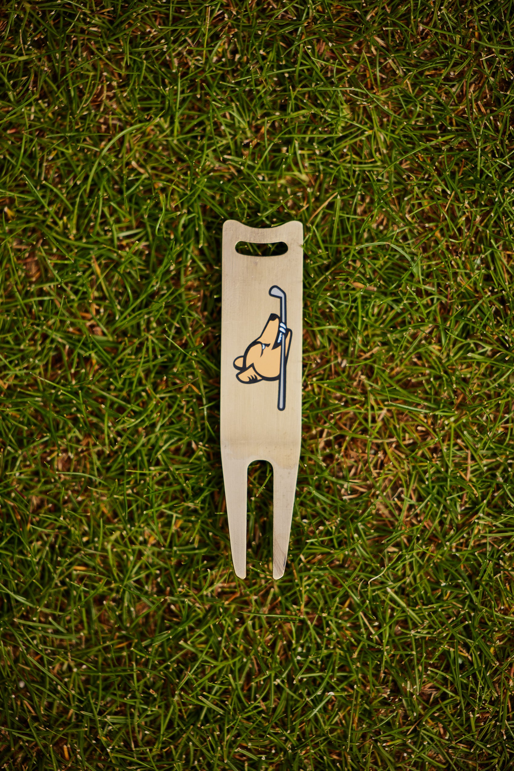 7 Mile Beach Divot tools