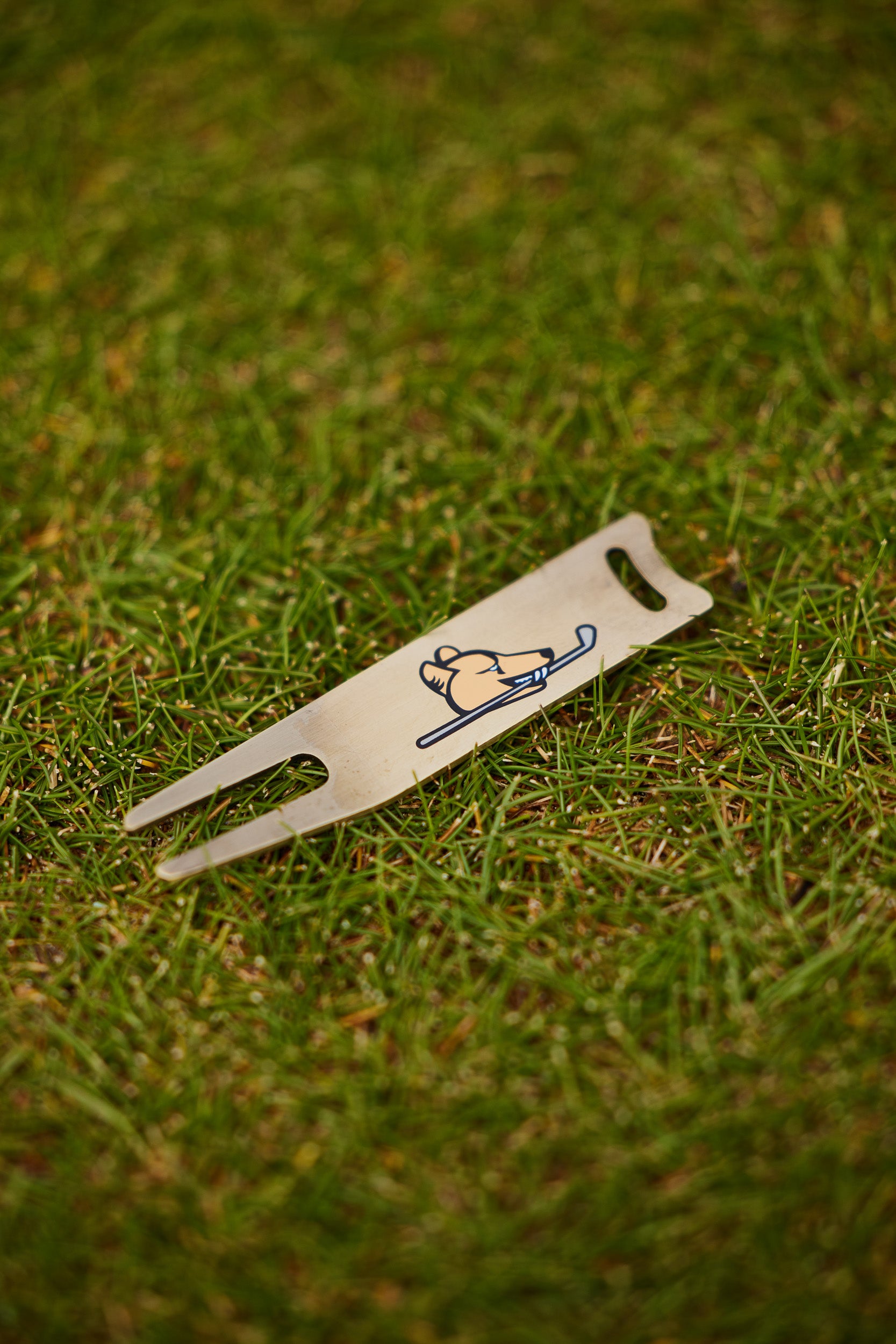 7 Mile Beach Divot tools